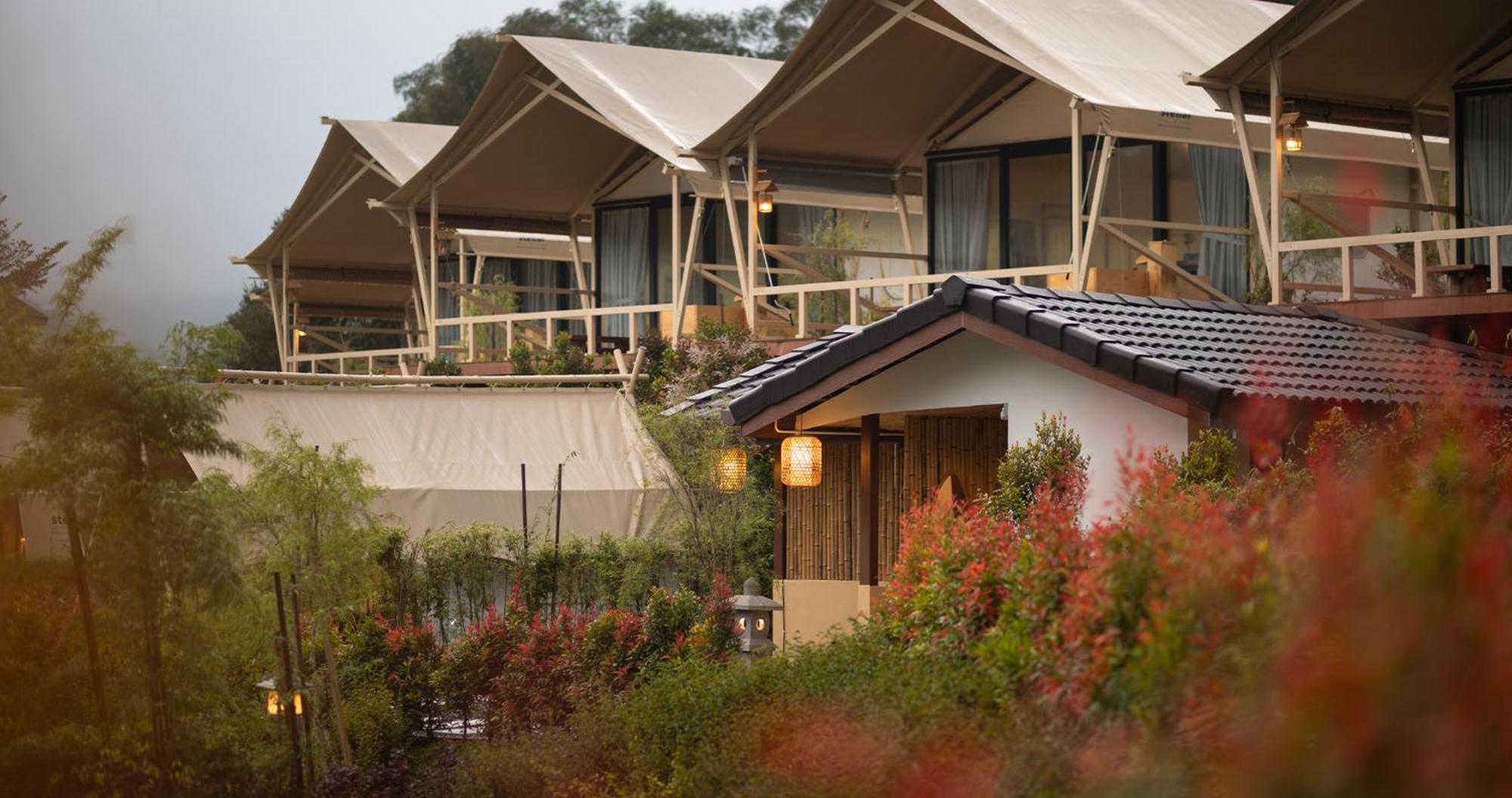 Zen By Stellar Cameron Luxury tent